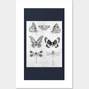 Butterflies and Dragonflies Posters and Art